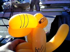balloon twister artist bird