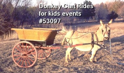 Kids Entertainment