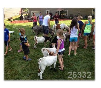 Kids Entertainment