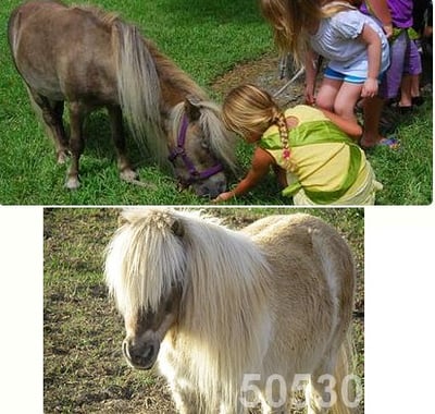 Kids Entertainment