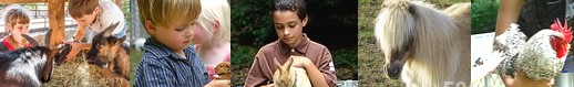 header petting zoos nationwide animals kids