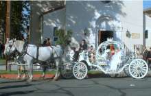 3875 horse carriage rental photo p3 photo.